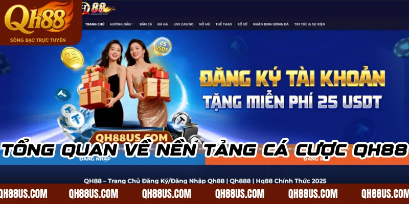 Tổng quan về nền tảng cá cược QH88